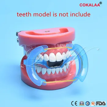 

5 pcs Dental Materials m Type Intraoral Cheek Retractor Teeth Whitener Mouth Opener Dentist Equipment With Mirror