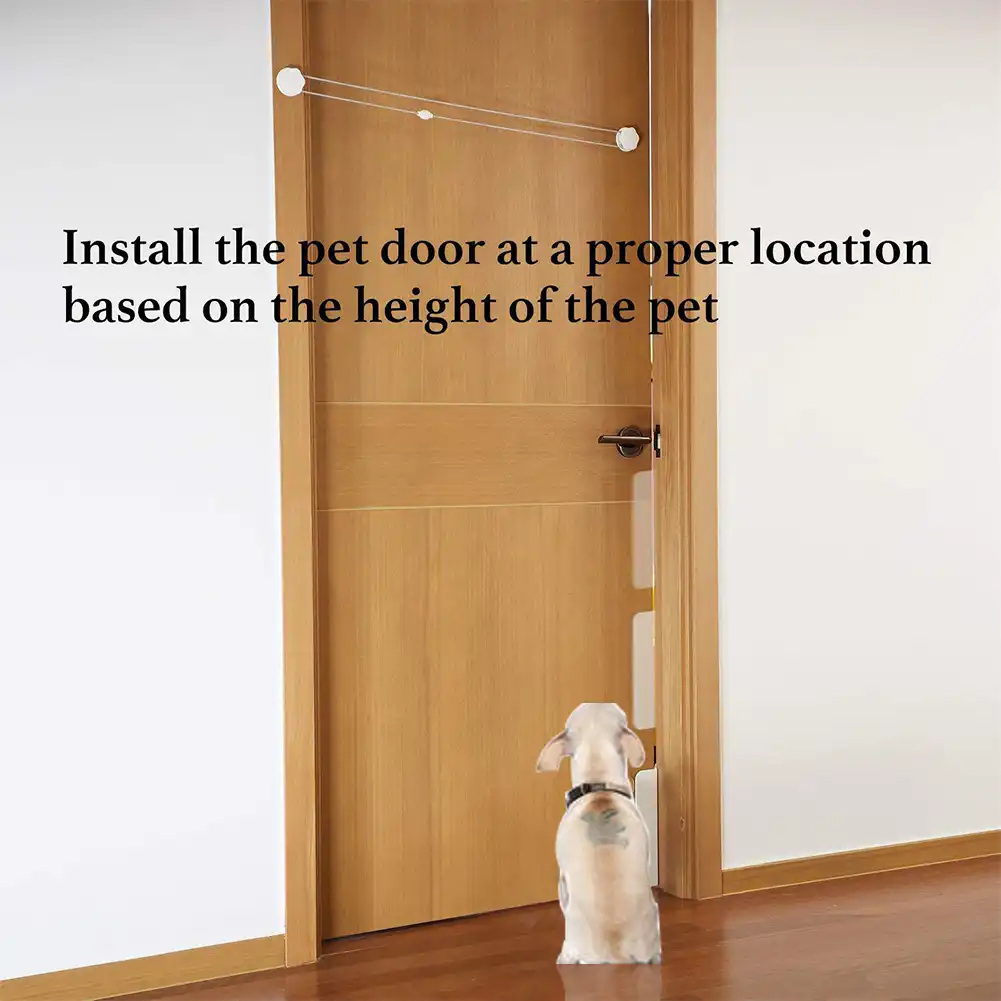 safety gate with cat door