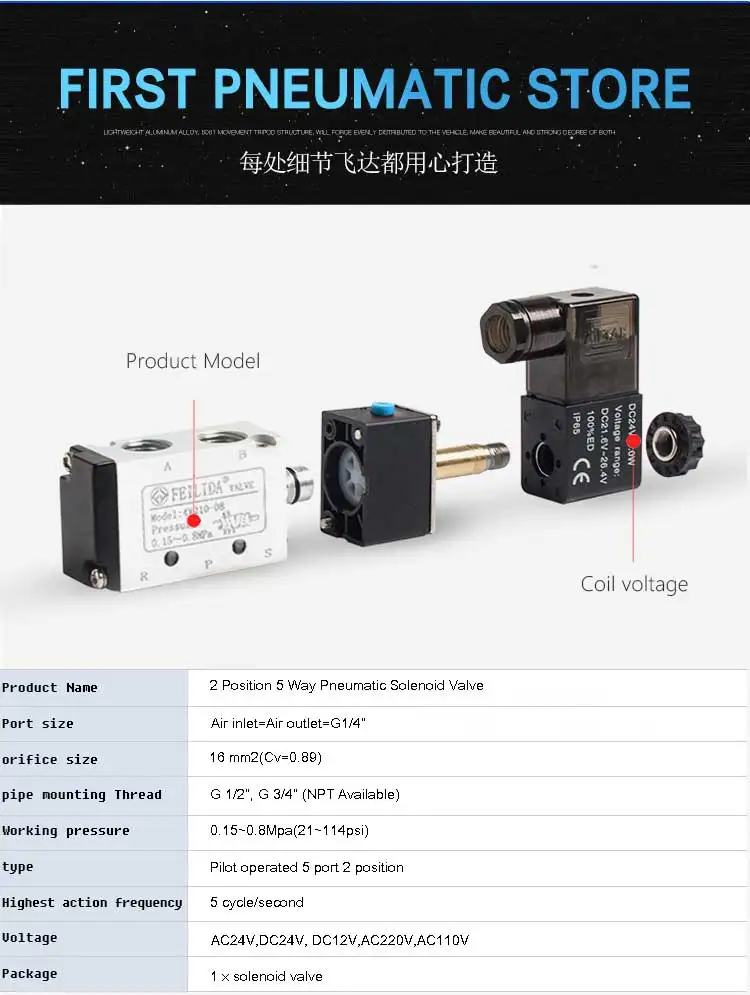 任侃侃小泰迪_03