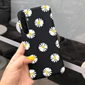 Case-c27