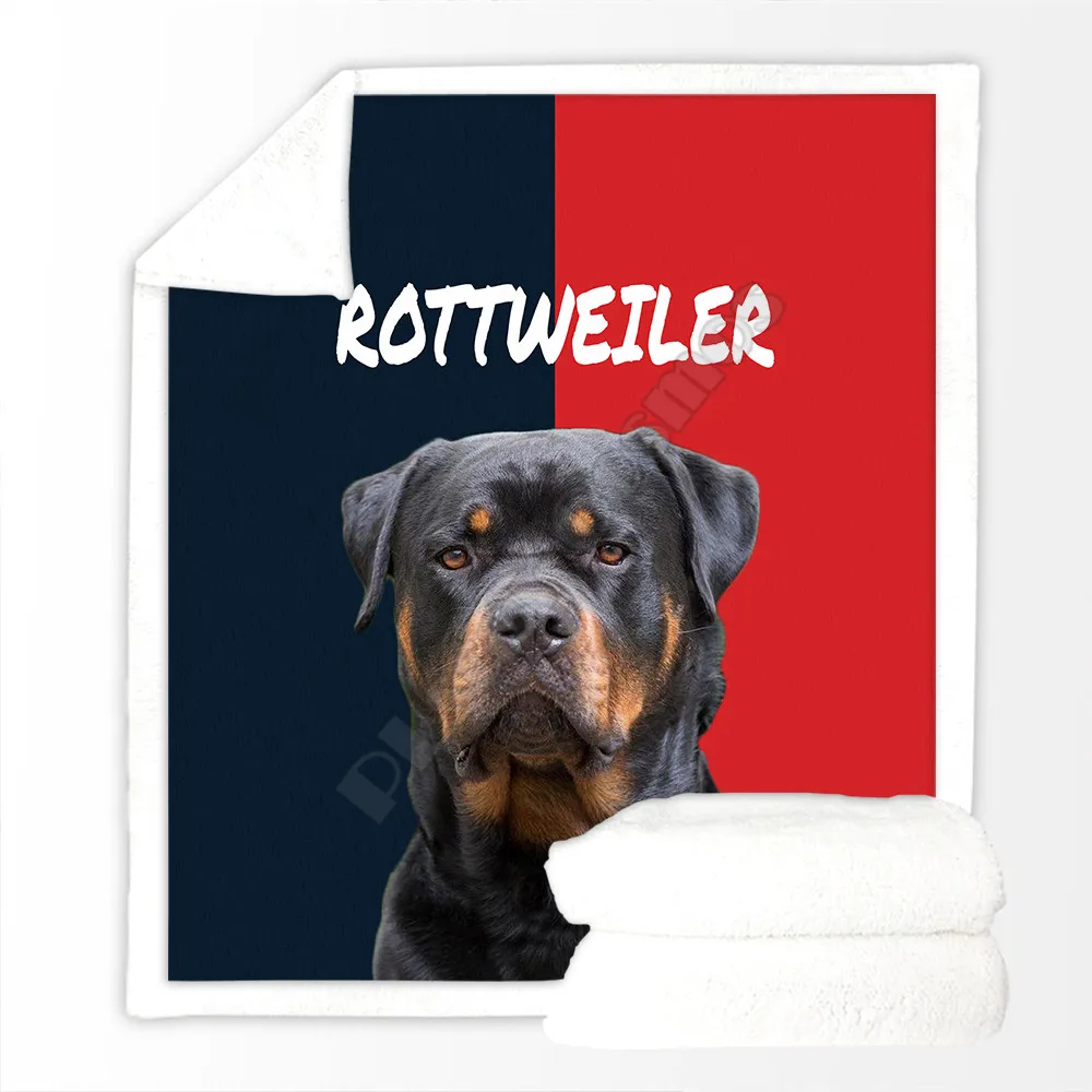 ��� �ִ� ����� �ƴ��� �����̾� ���� �θ��� 3D �μ� ���� ��� ħ�� Ȩ ���� �� ����