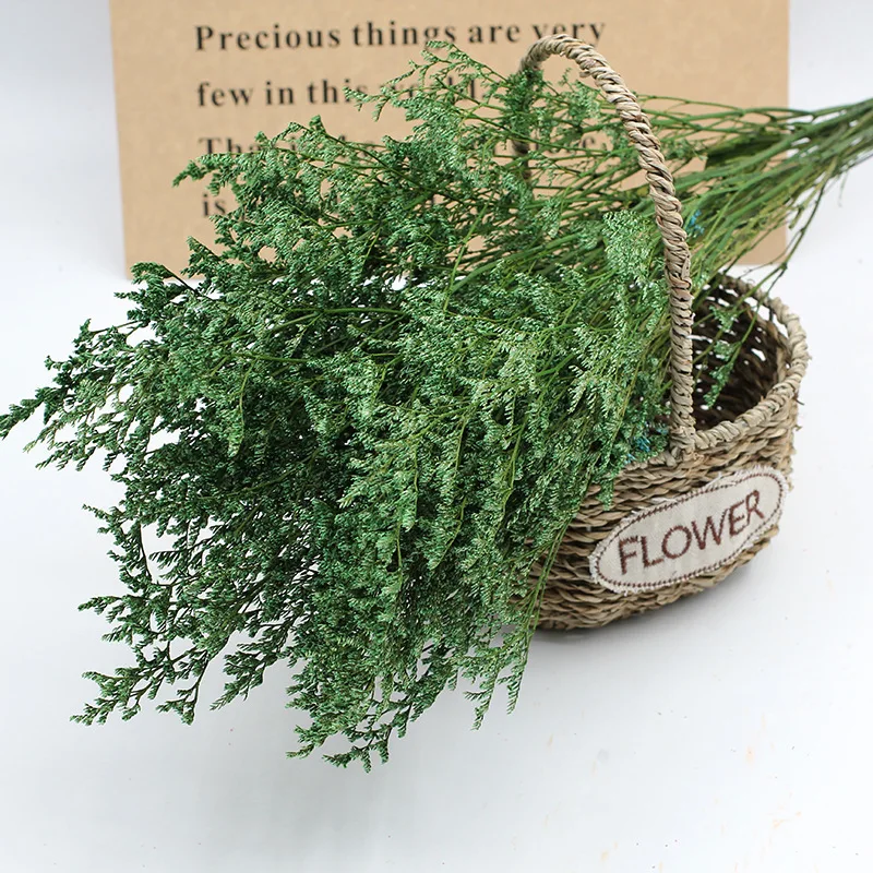 

100g Real Natural Fresh Dried Preserved Forever Lover Grass Branch For Wedding Party Flower Material Home Decor Limonium Statice