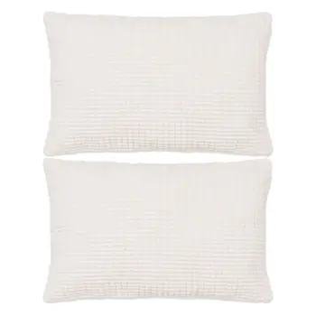 

Vidaxl Kissen-set 2 STK. Velours 40x60 cm gebrochen Weiß
