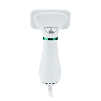

Pet Cat And Dog Hair Dryer Hair Comb Two In One Hot Wind Portable Hair Dryer Pet Comb Brush Low Noise