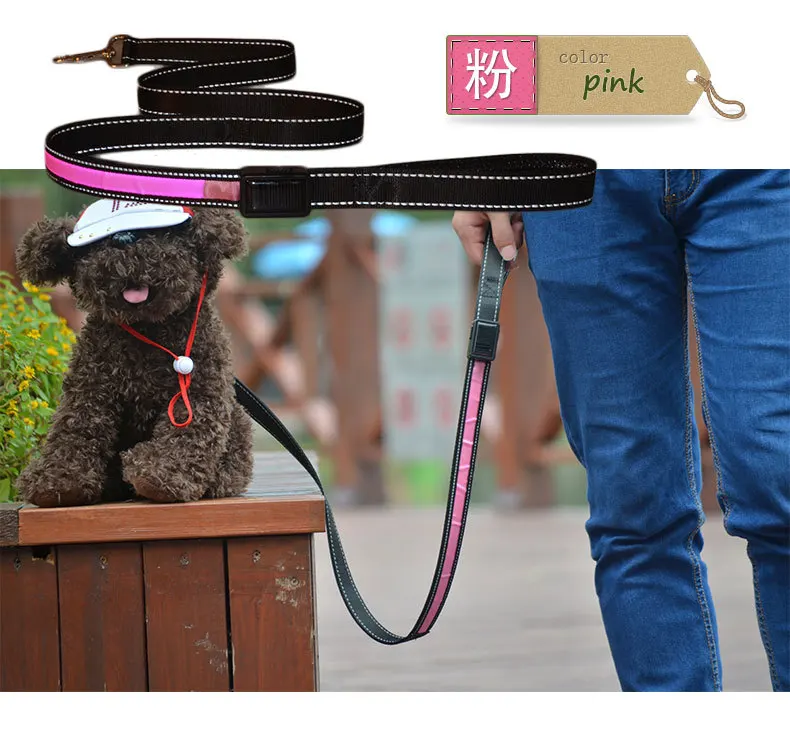 Pink Роскошные товары для собак, солнечные USB поводки, товары - Цвет: Pink