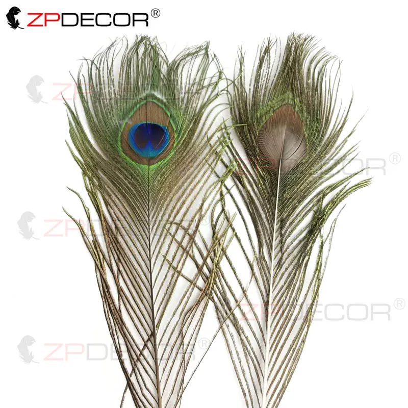 Zpdecor 30-35 см натуральный цвет Перья павлина
