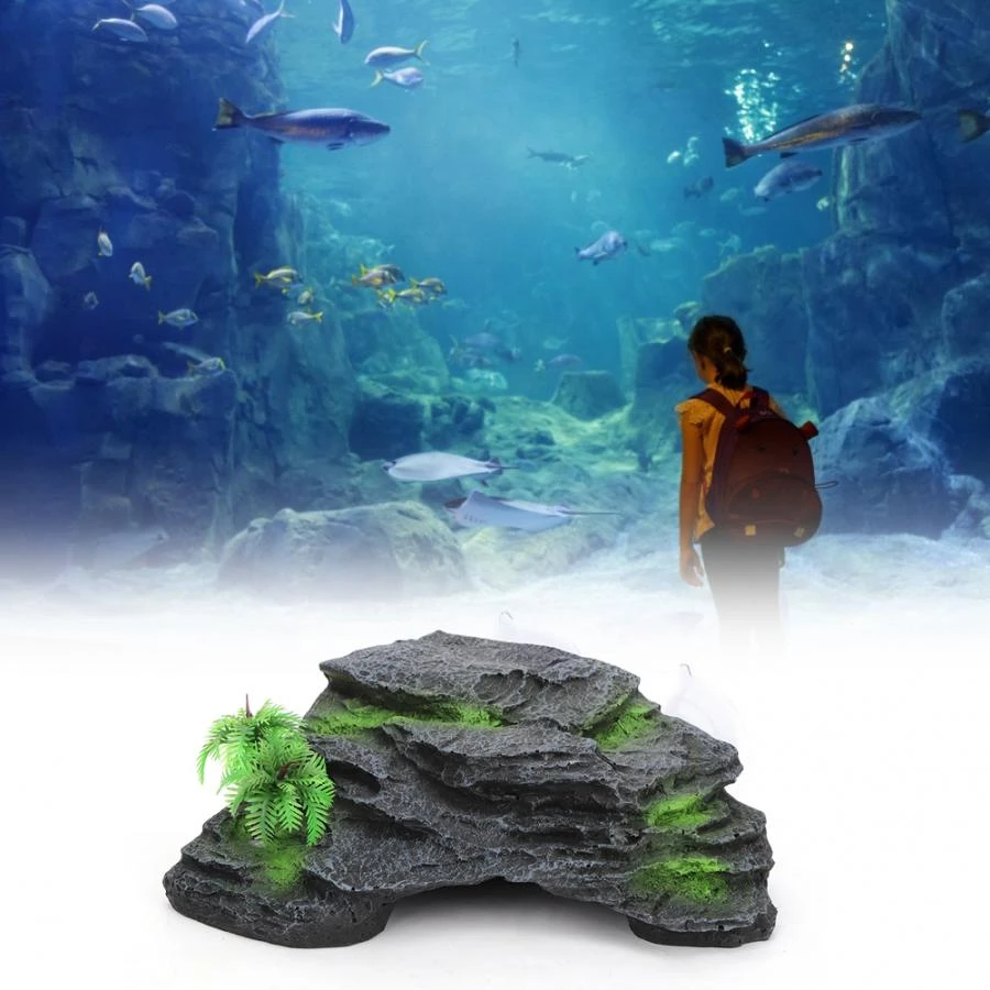 tortoise for fish tank