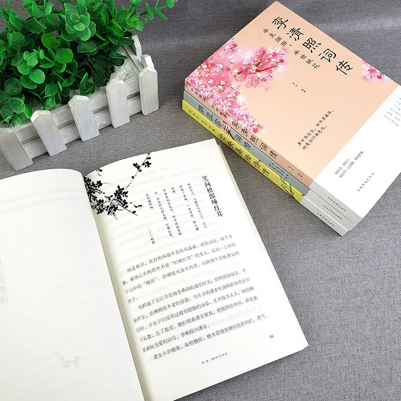 Рисунок 4 - Полная работа коллекции Li Qingzhao