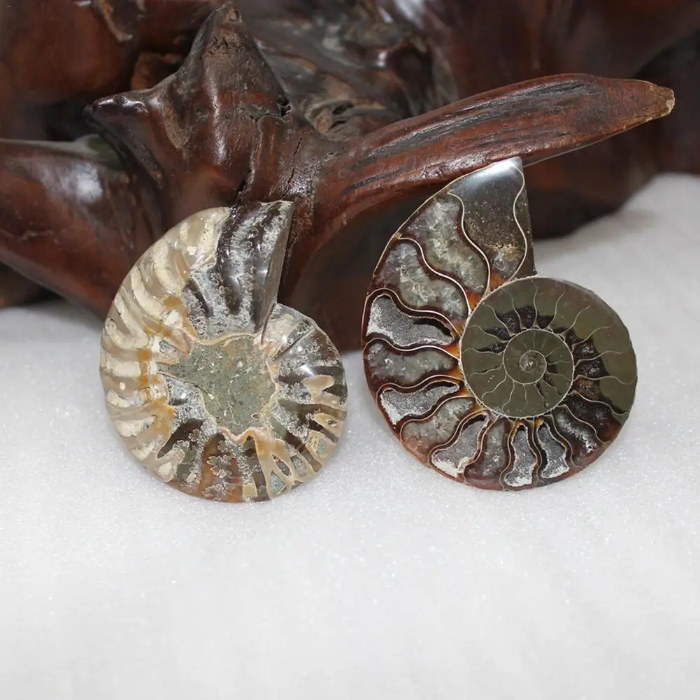 Ожерелье из натуральных ракушек кулон ожерелье грубых камней украшения сделай