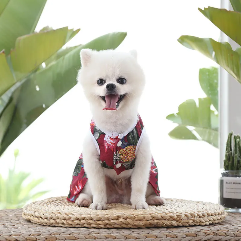 详情页 (11).jpg_.webp