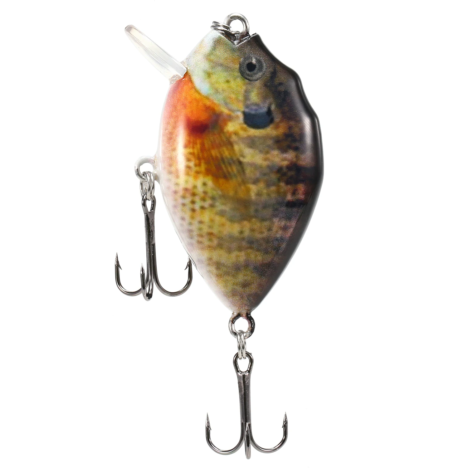 Lixada 5PCS Mini Fishing Lures Wobbler Fishing Lure Artificial Hard Bait  Crankbait with Tackle Box for Fish Bass Fishing Tackle