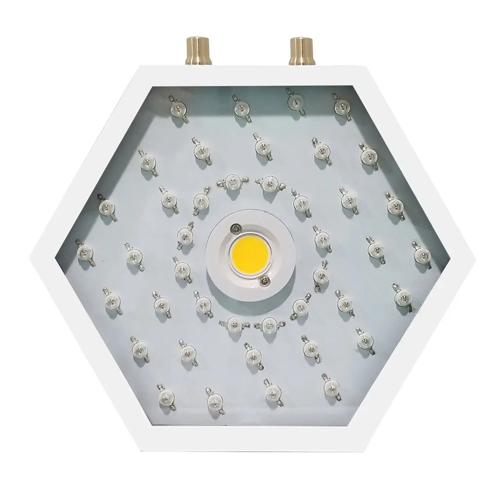 

Plants LED Grow Light Full Spectrum 1000W Double Chip Red/Blue/UV/IR Hexagonal Angle Light For Indoor Plants VEG BLOOM