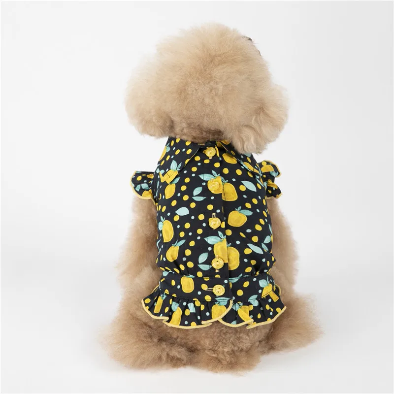 puppy dog shirt summer small dog (15)