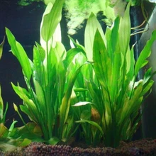 Adornos de plantas acuáticas artificiales subacuáticas, decoración de paisaje de hierba verde para acuario, tanque de peces, 15CM/10CM
