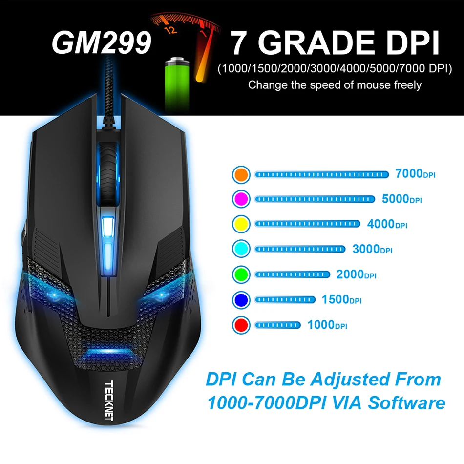 2-1-GM299-DPI