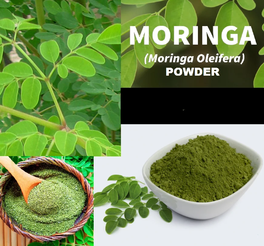 

100g/500g/1000g Moringa Powder Organic Oleifera Leaf Natural Pure Non GMO