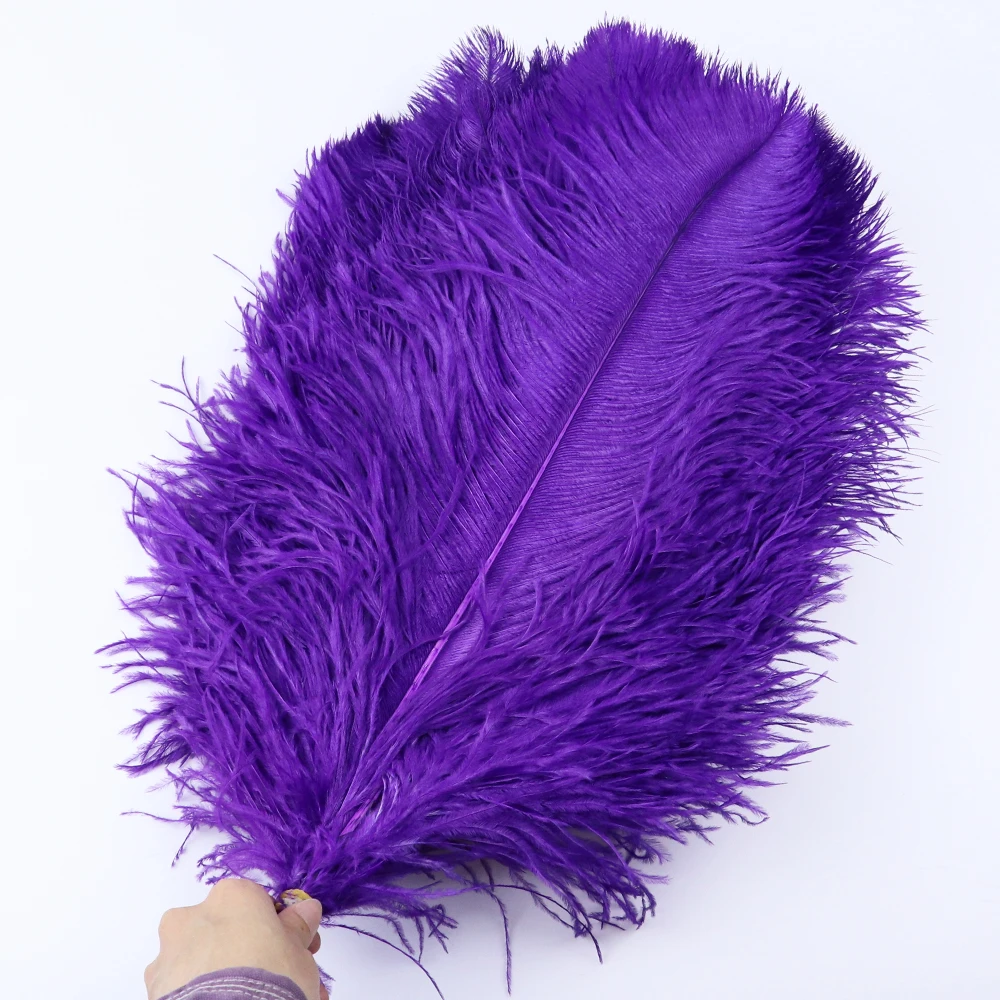 TS0145015 45-50cm ostrich feathers 4