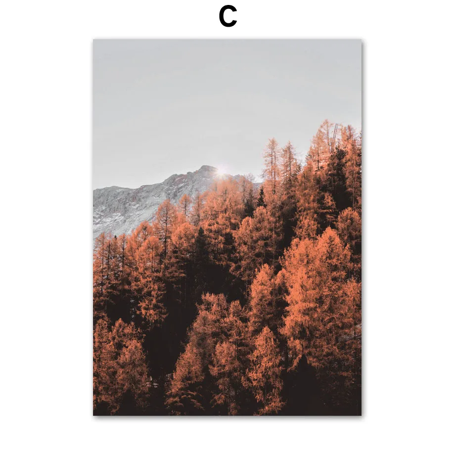 Осенняя горная Древесина лист Рид Пшеница стены Искусство Холст живопись плакаты на скандинавскую тему и принты холст картины для декора гостиной - Цвет: C
