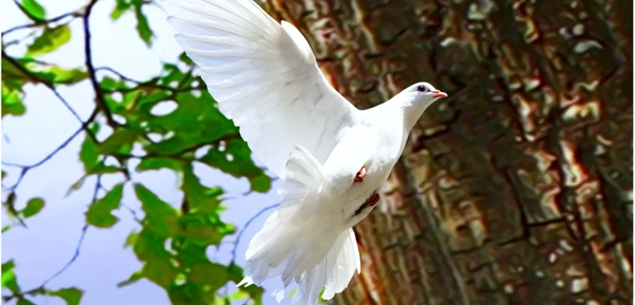 QQ截图20191030152423