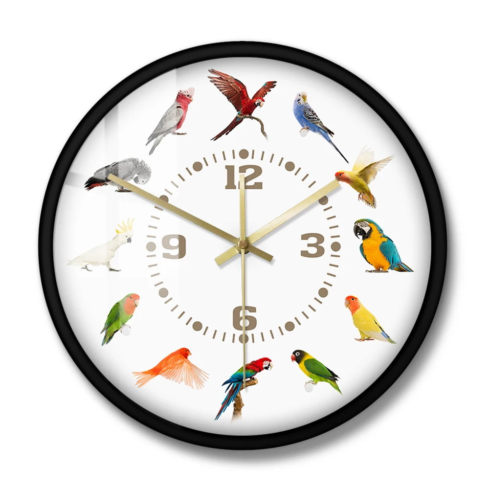 Birds Breeds Collection Modern Wall Clock Non Ticking Wall Watch Parrot Bird Pet Species Exotic Wall Art Bird Lovers Home Decor 2