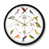 Birds Breeds Collection Modern Wall Clock Non Ticking Wall Watch Parrot Bird Pet Species Exotic Wall Art Bird Lovers Home Decor 2