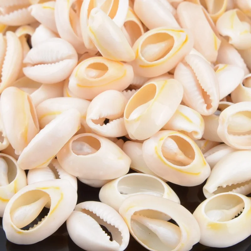 shell (2)