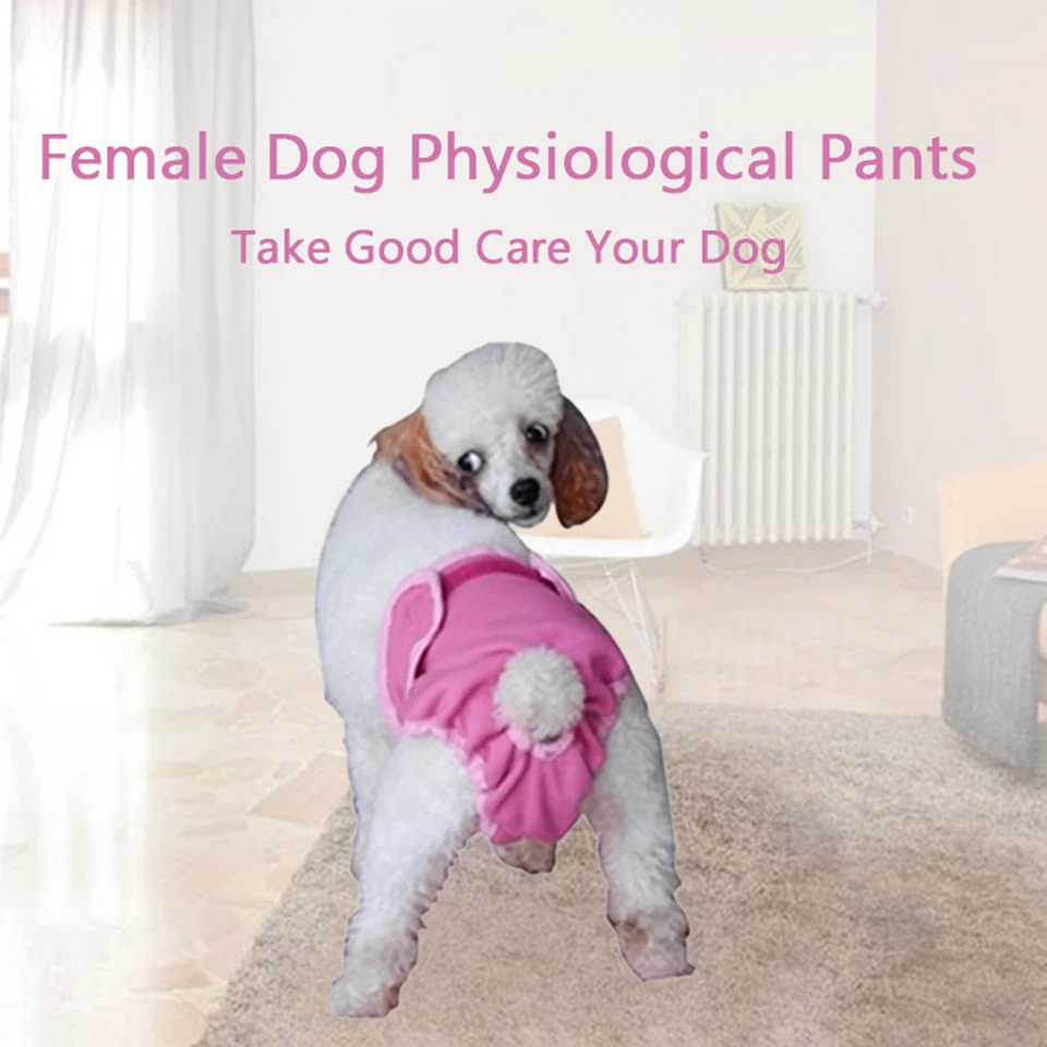 female puppy accessories