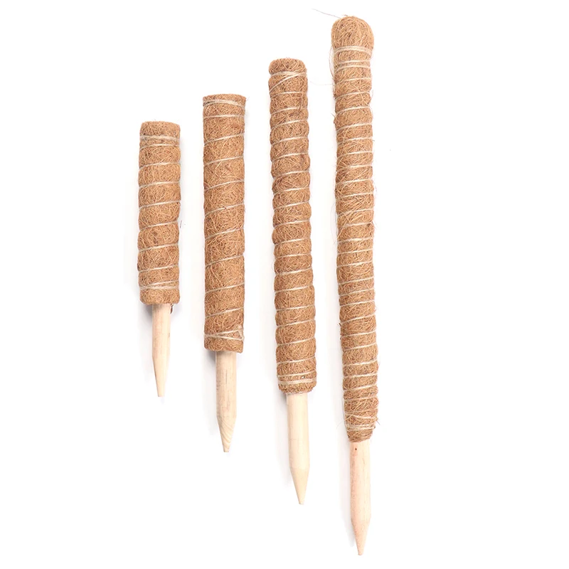 Рисунок 6 - Кокосовая палка для подъема растений