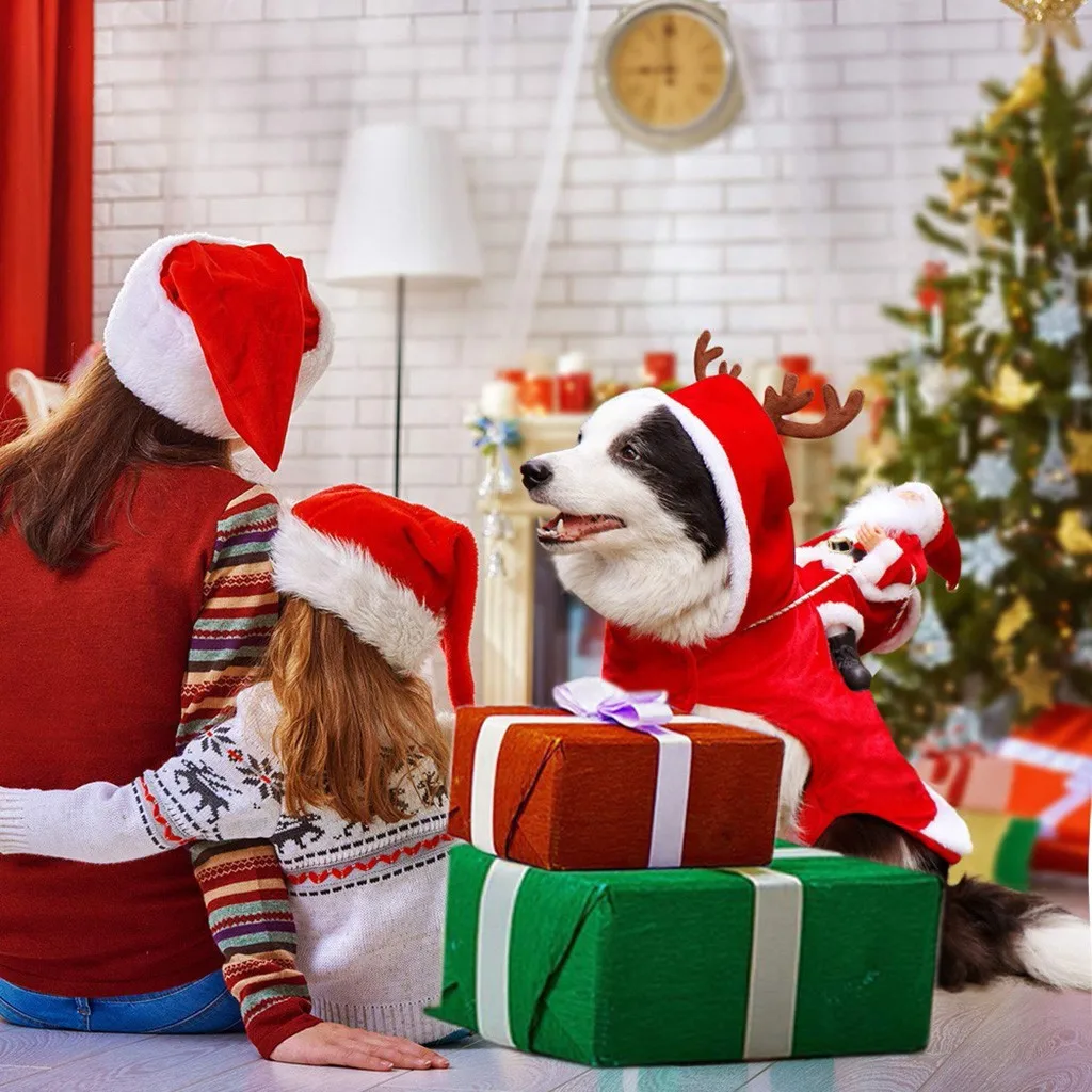 Новогодний для домашних собак пальто Санта Клаус Одежда для кошек Милая одежда для домашних животных товары для собак Одежда для домашних животных Чихуахуа Navidad#30