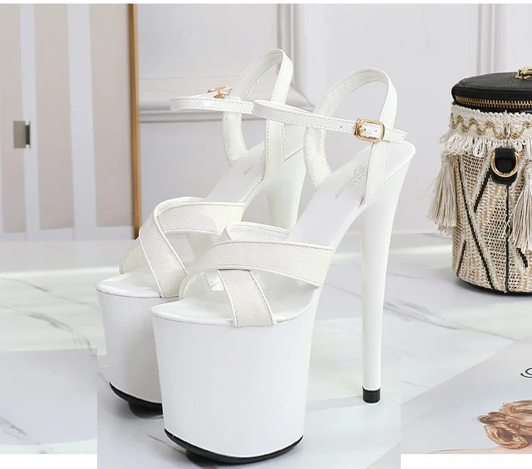 14228681197_2138732029