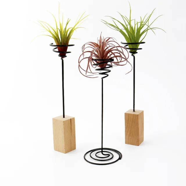 3Db Vas Légnövény Állvány Tartály Tillandsia Tartó Asztali Edénykijelző Váza Fa Alap - Image 3