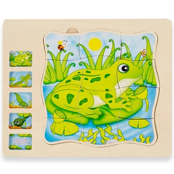

Cartoon Frog Animal Growth Cycle Toy Baby Puzzle Kindergarten Early Education Educational Toys