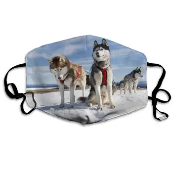 

Husky Couple Dogs Snow Alaska Dust Mask Anti Air Pollution Smoke Mask Washable and Reusable Face Protection