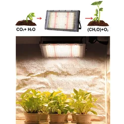 300w sunlight LED plant Grow Light seed flower growing Phyto lamp kit Full Spectrum 220V indoor growtent box Hydro Lighting a1