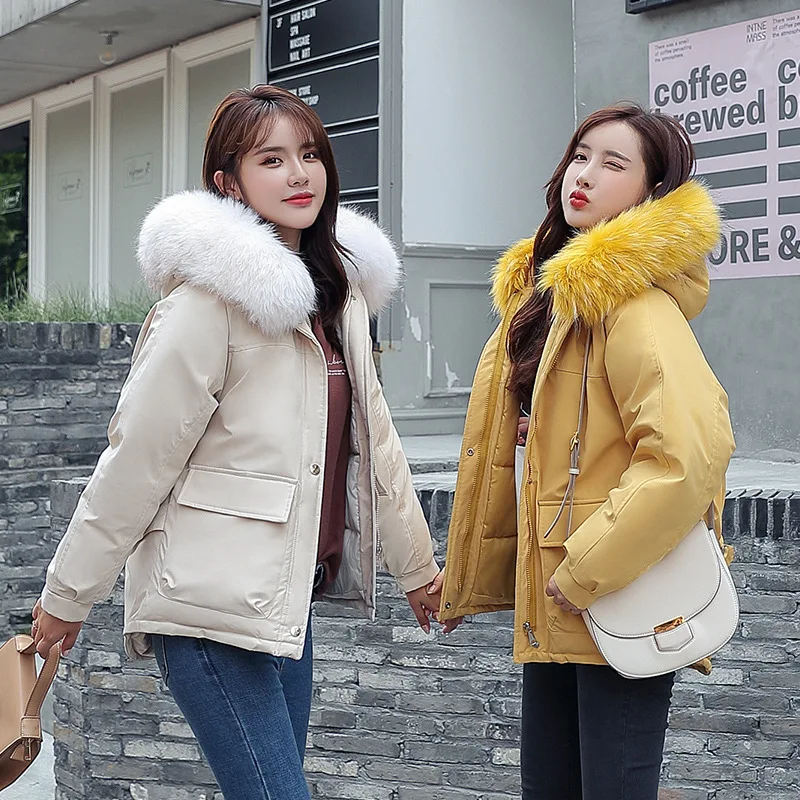 

2019 Korean-style New Style Winter Short Best Friend-down Jacket Cotton-padded Clothes Loose-Fit Hooded Cotton-padded Clothes WO
