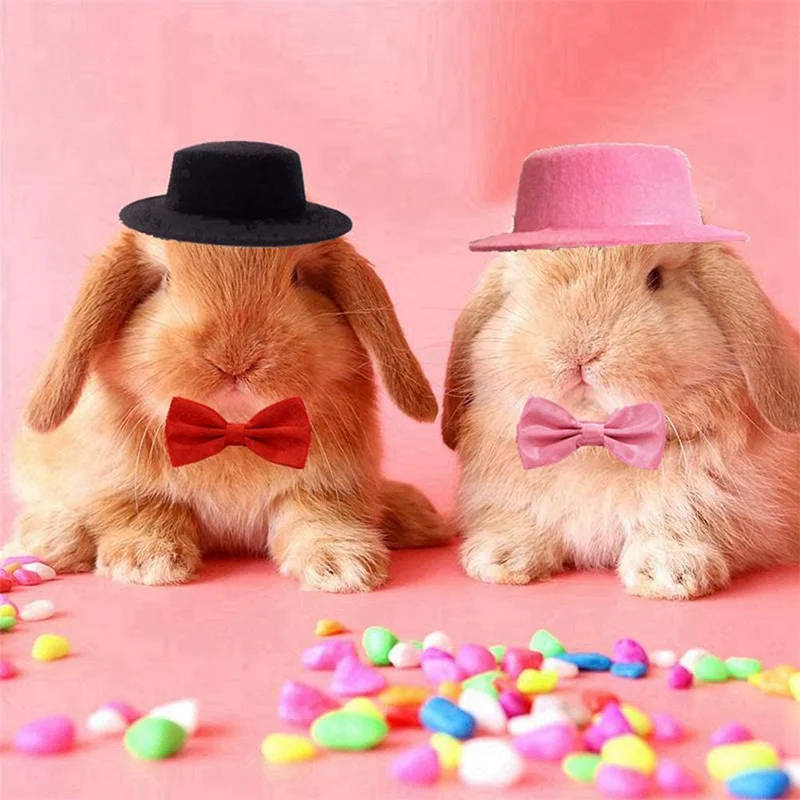 Guinea Pig Hat and Bowtie 2Pcs/Set Hamster Costume Outfit Rats Chinchilla Cap Hedgehog Hat Small Pet Items Accessories Small Animal Clothes