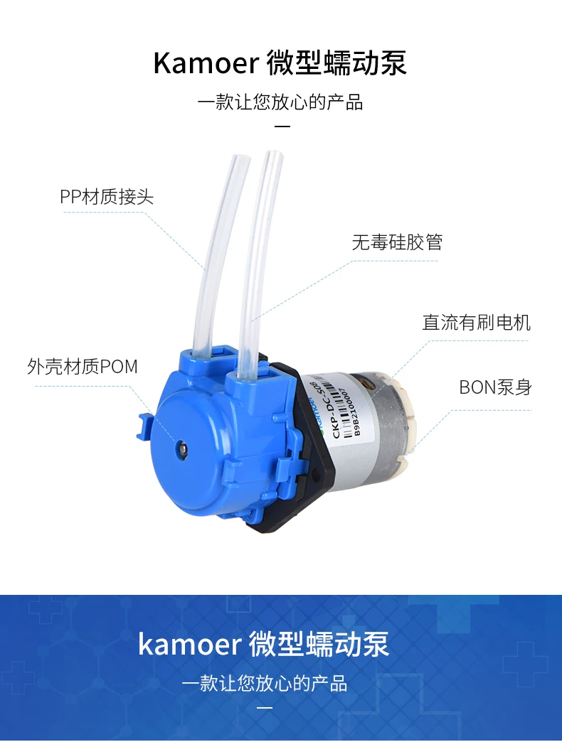 ckp_04.jpg