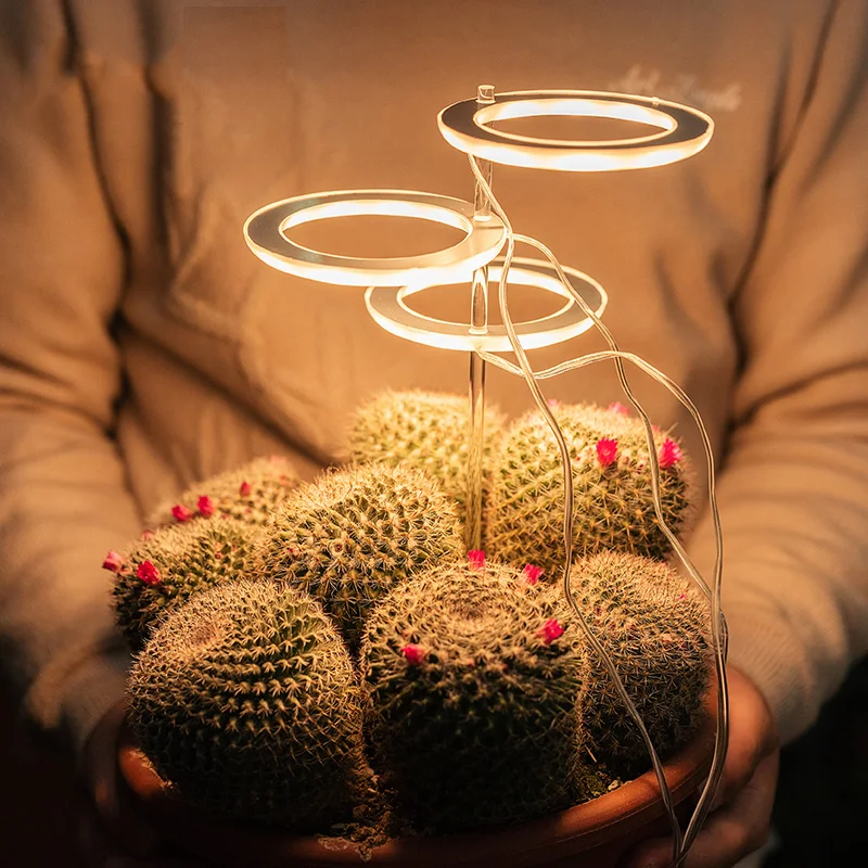 LED Grow Light Full Spectrum Phyto Lamp USB Phytolamp For Plants 5V Growth Lighting Indoor Plant | Лампы и освещение