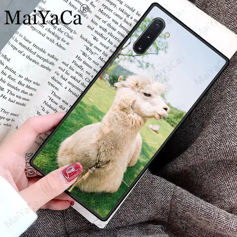 Cute Goat Meme Alpaca