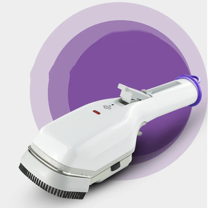 650W Handheld Steamer Hot Portable Home Travel Cloth Steamer Fast Heating Detachable Water Tank Steam Iron US Plug