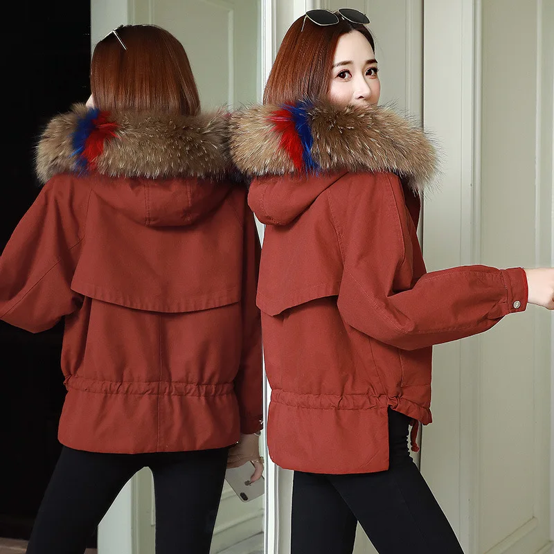 

2019 Winter New Style WOMEN'S Dress Korean-style Slimming Short Small Cotton-padded Clothes Cotton Coat Cotton-padded Jacket Cot