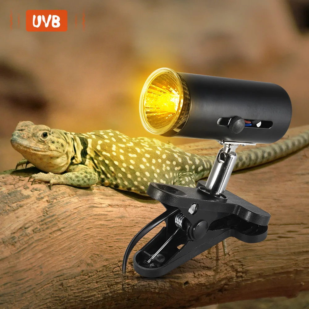 

Hot New 3pcs 50W/100W Pet Heating Light Basking Lamp Bulb Temperature Controller Intelligent Thermostat for Turtles Reptiles Pet