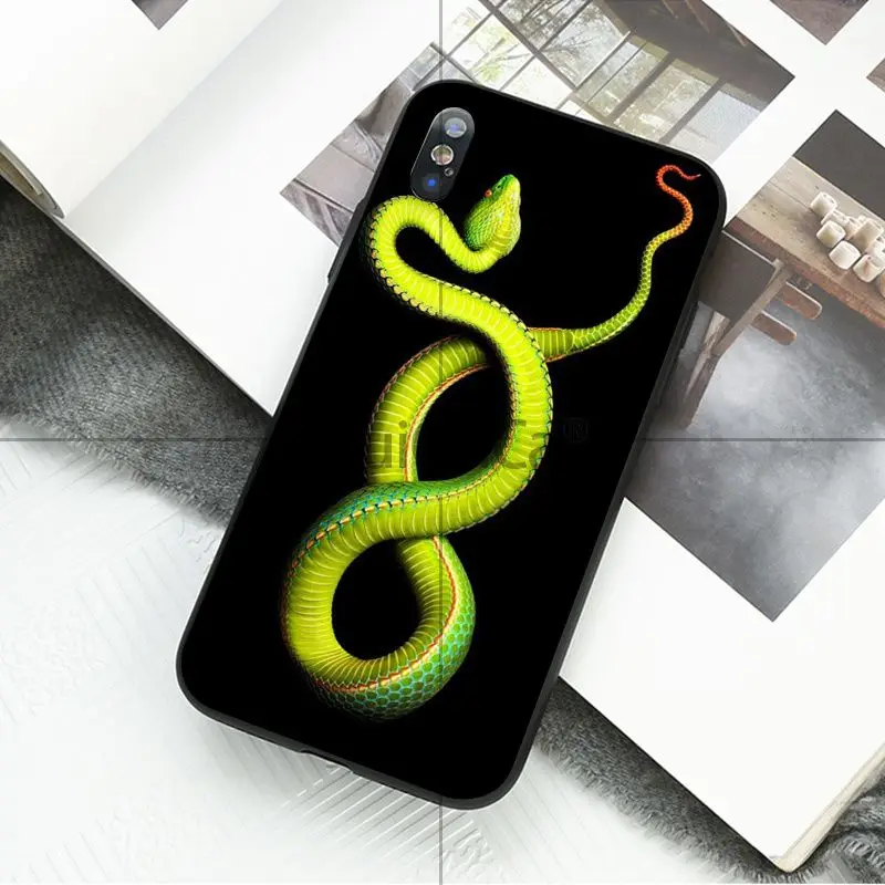 Ruicaica Coral snake animal TPU Silicone Phone Case Cover for Apple iPhone 8 7 6 6S Plus X XS MAX 5 5S SE XR 11 11pro max Cover - Color: A4