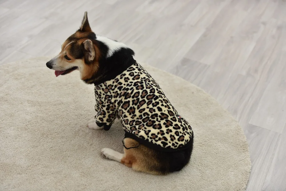 Теплая одежда для собак классическая одежда для домашних животных на липучке для маленьких средних собак Осенняя новая толстовка с леопардовым принтом удобная куртка для собак и кошек