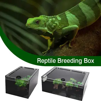 

Clear Reptile Breeding Box Small Large Breathable Acrylic Sliding Cover Spider Lizards Insect Feeding Box Terrarium