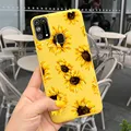 Sunflower-C07