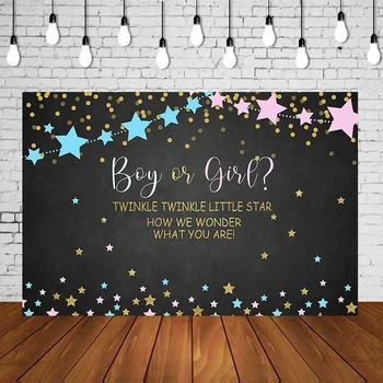 

Twinkle Little Star Boy Or Girl Gender Reveal Party Baby Shower Birthday Party Backdrop Photo Background Table Wall Decor SM773