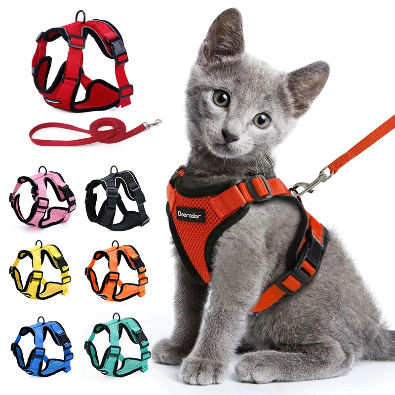 Ensemble Harnais Et Laisse Anti Fuite Pour Chat Avec Bandes Reflechissantes En Nylon Vetements Pour Animaux De Compagnie Collier Pour Chiot Et Chaton Aliexpress Maison Animalerie