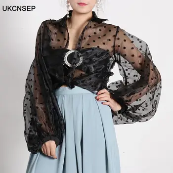 

Casual Turn-down Collar Lantern Sleeve Polka Dot Blouse 2020 Mesh Women Shirts