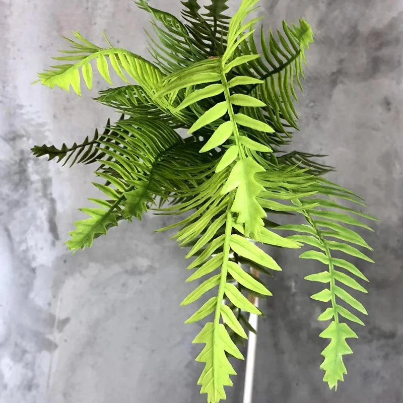 9543525070_1258068376